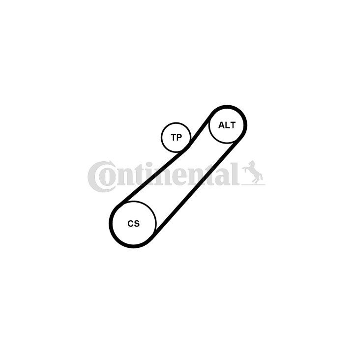 V formos rumbuotas diržas, komplektas CONTINENTAL CTAM 7PK880K1