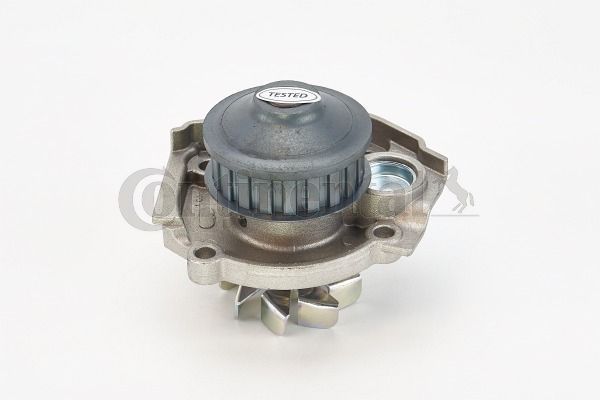 Vandens siurblys, variklio aušinimas CONTINENTAL CTAM WP6038