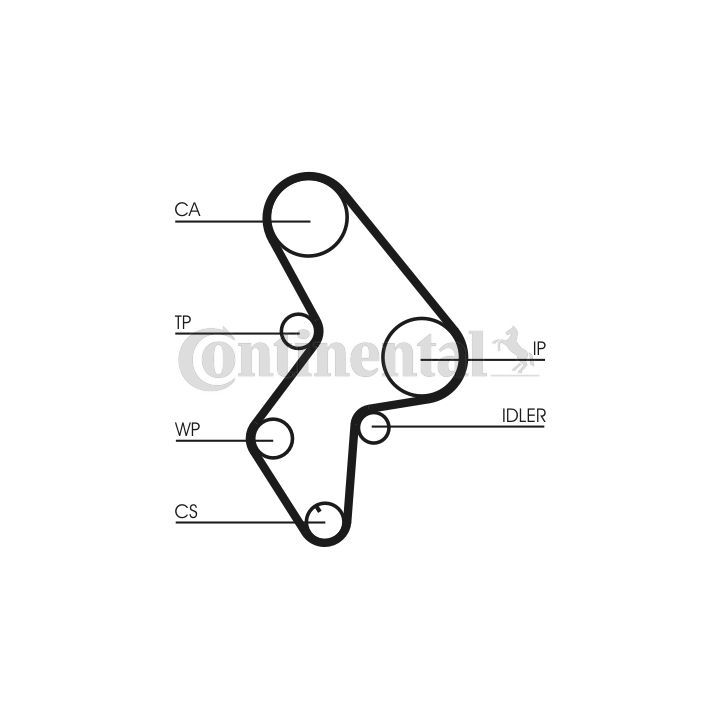 Vandens siurblio ir paskirstymo diržo komplektas CONTINENTAL CTAM CT1061WP1