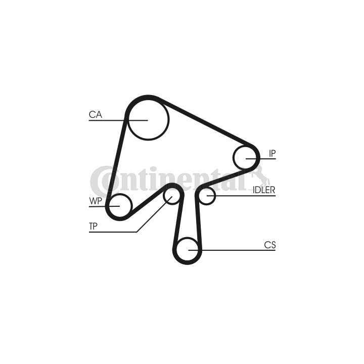 Vandens siurblio ir paskirstymo diržo komplektas CONTINENTAL CTAM CT1136WP1
