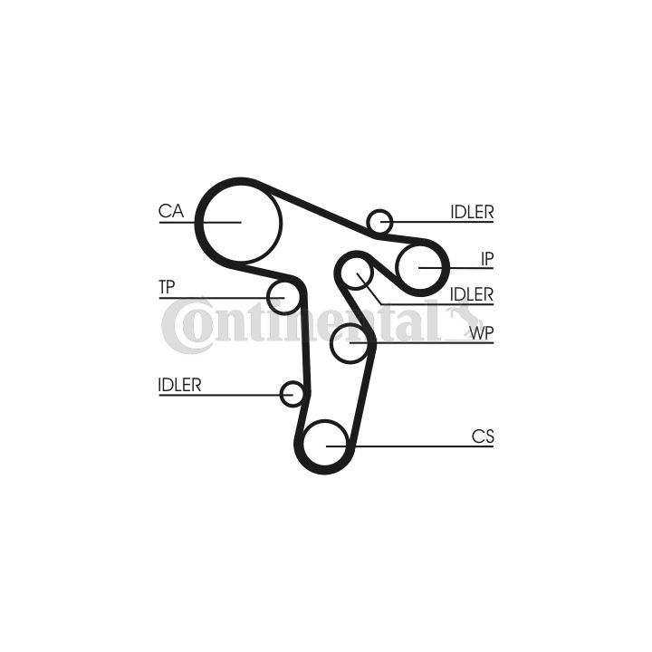 Vandens siurblio ir paskirstymo diržo komplektas CONTINENTAL CTAM CT1139WP2