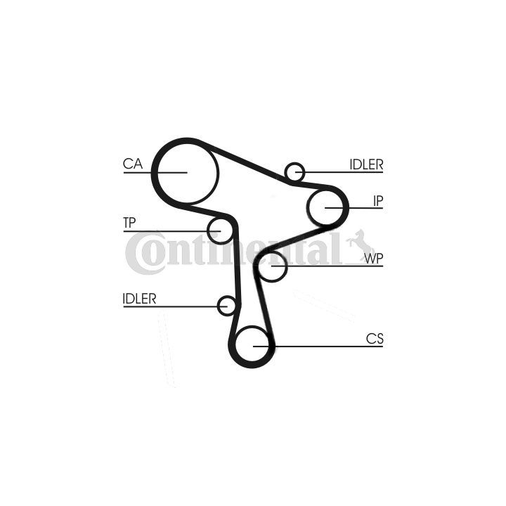 Vandens siurblio ir paskirstymo diržo komplektas CONTINENTAL CTAM CT1168WP5