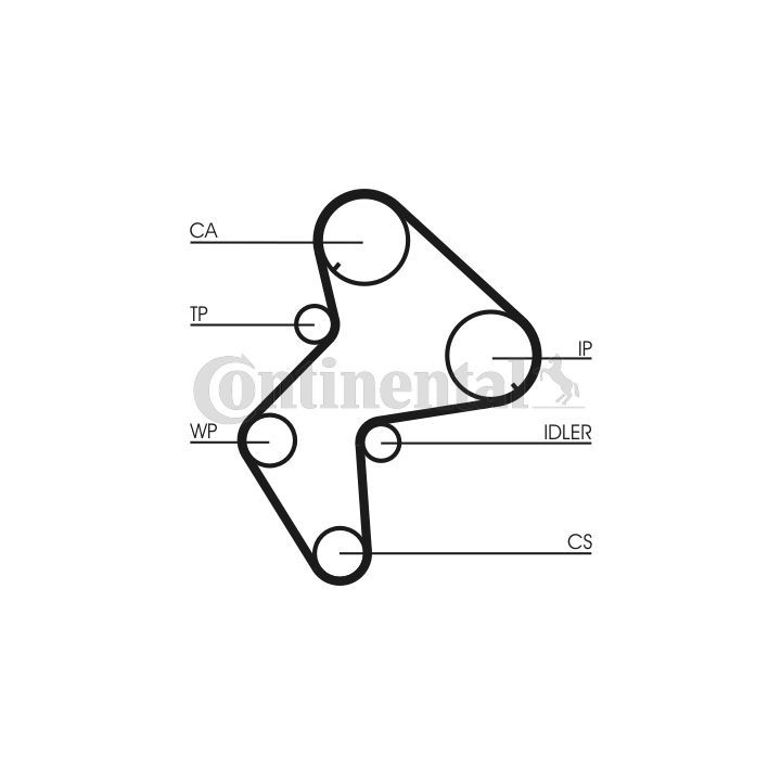 Vandens siurblio ir paskirstymo diržo komplektas CONTINENTAL CTAM CT772WP1