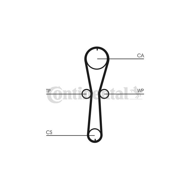 Vandens siurblio ir paskirstymo diržo komplektas CONTINENTAL CTAM CT915WP1
