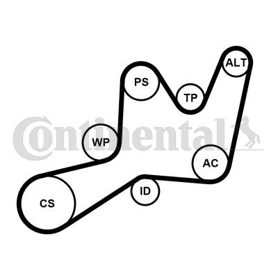 Vandens siurblys + V formos rumbuotas diržas, komplektas CONTINENTAL CTAM 6PK1605WP1