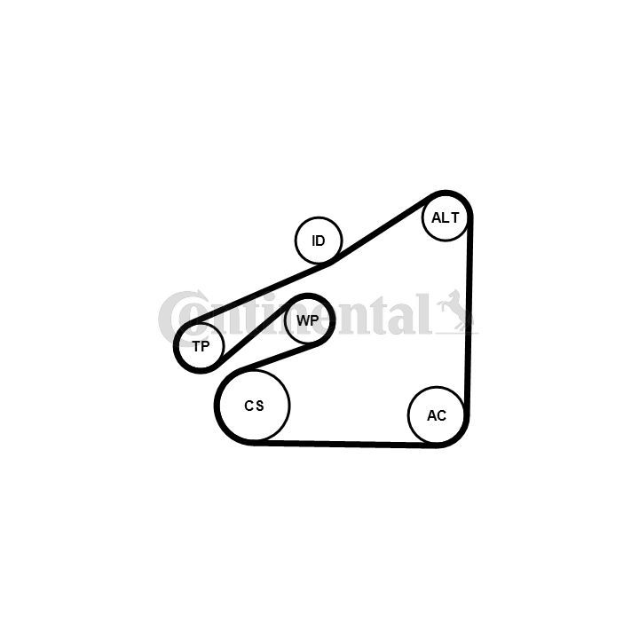 Vandens siurblys + V formos rumbuotas diržas, komplektas CONTINENTAL CTAM 6PK1840WP1