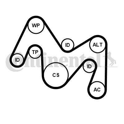 Vandens siurblys + V formos rumbuotas diržas, komplektas CONTINENTAL CTAM 6PK1934WP1