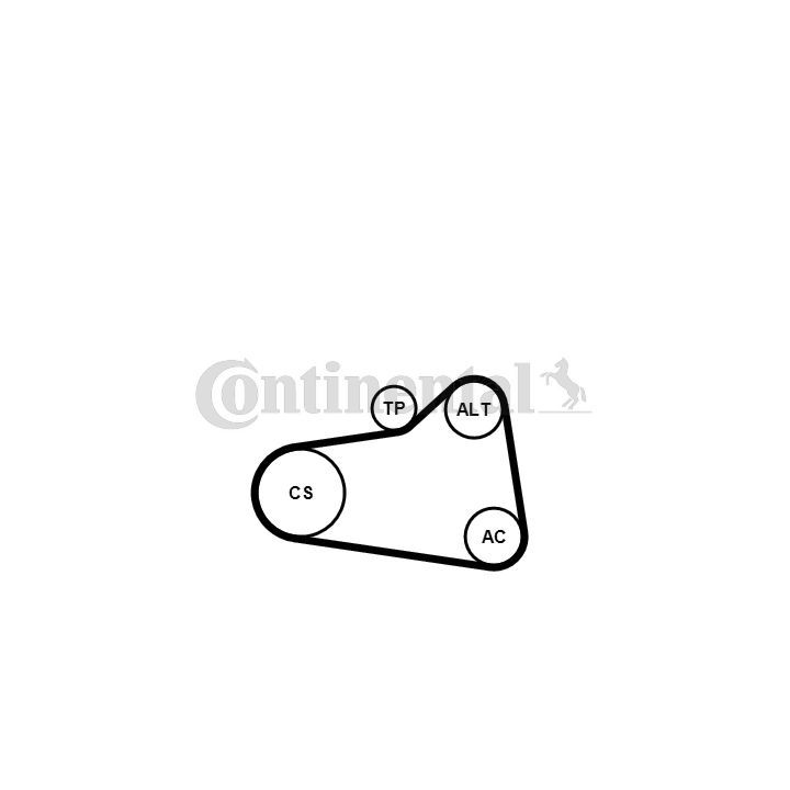 Vandens siurblys + V formos rumbuotas diržas, komplektas CONTINENTAL CTAM 6PK905 EXTRA WP1