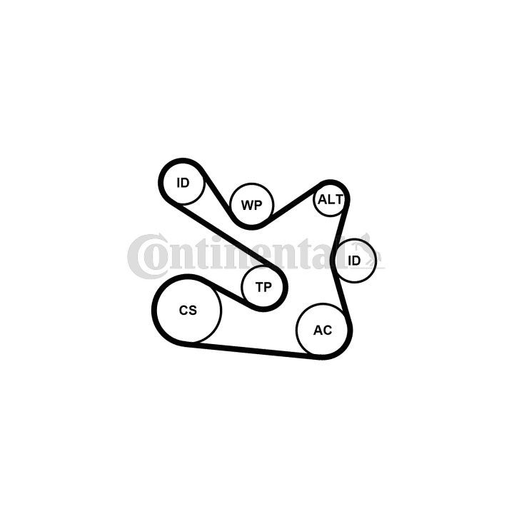 Vandens siurblys + V formos rumbuotas diržas, komplektas CONTINENTAL CTAM 7PK1605WP1