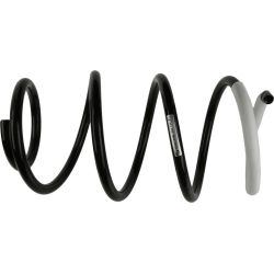 Spyruoklė SACHS 991 171