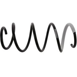 Spyruoklė SACHS 993 903