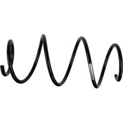 Spyruoklė SACHS 993 913