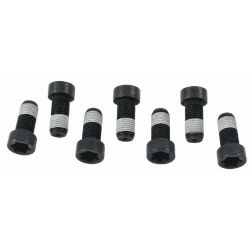 Varžtų komplektas, smagratis SACHS 1874 000 043