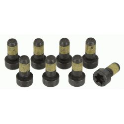 Varžtų komplektas, smagratis SACHS 1874 000 044