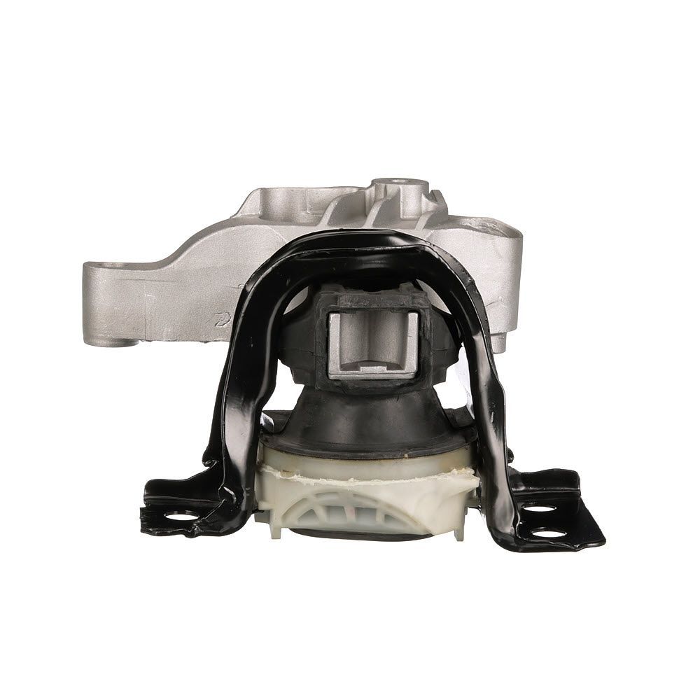 Variklio montavimas GATES ETM1003