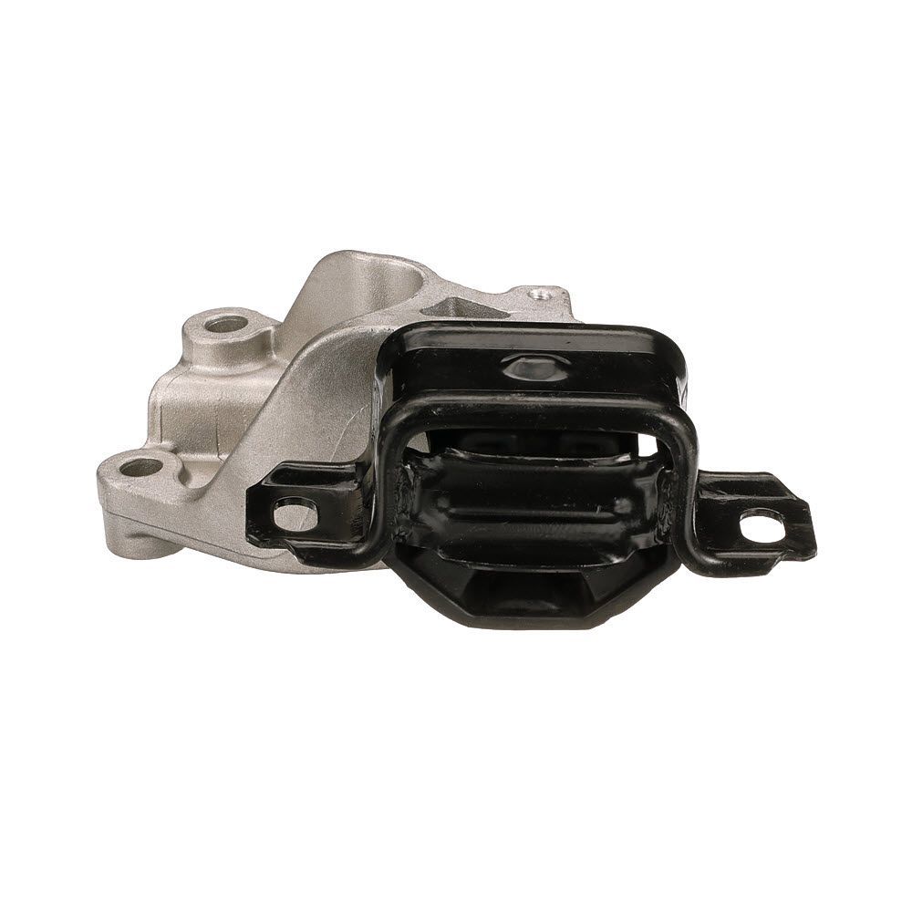 Montavimas, neautomatinė transmisija GATES ETM1800