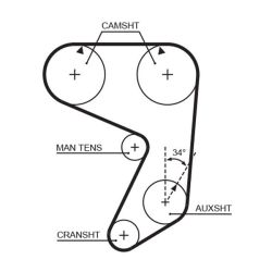 Paskirstymo diržas GATES 5004