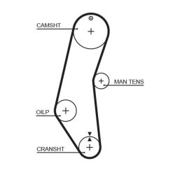 Paskirstymo diržas GATES 5018