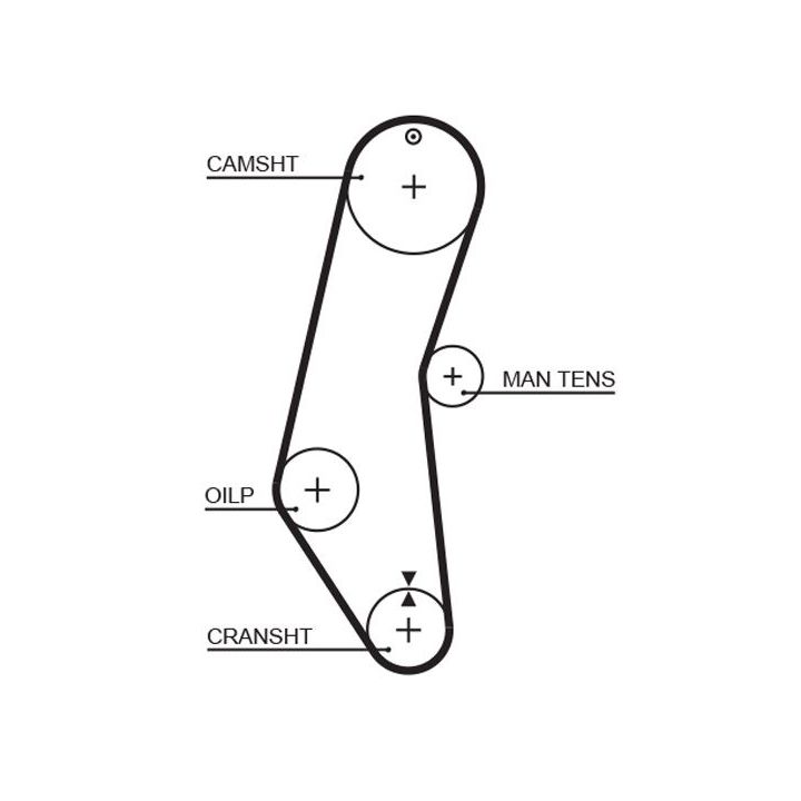 Paskirstymo diržas GATES 5018