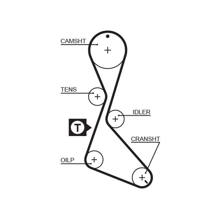 Paskirstymo diržas GATES 5056