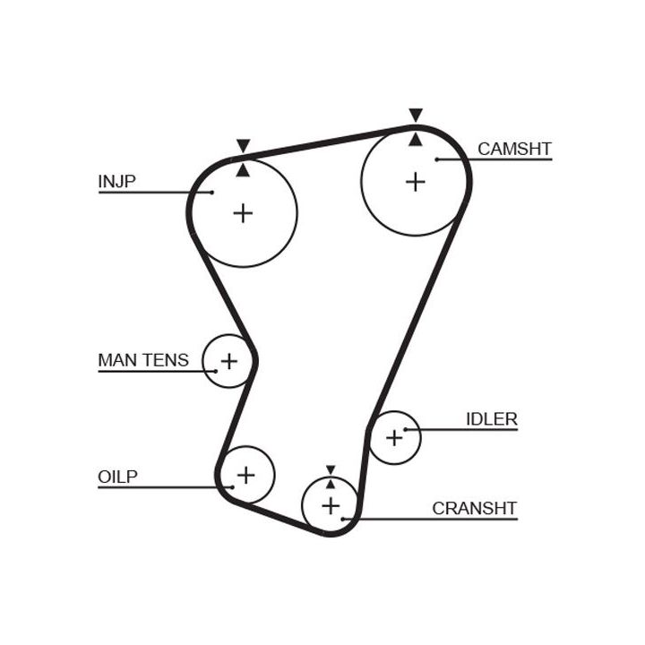 Paskirstymo diržas GATES 5065