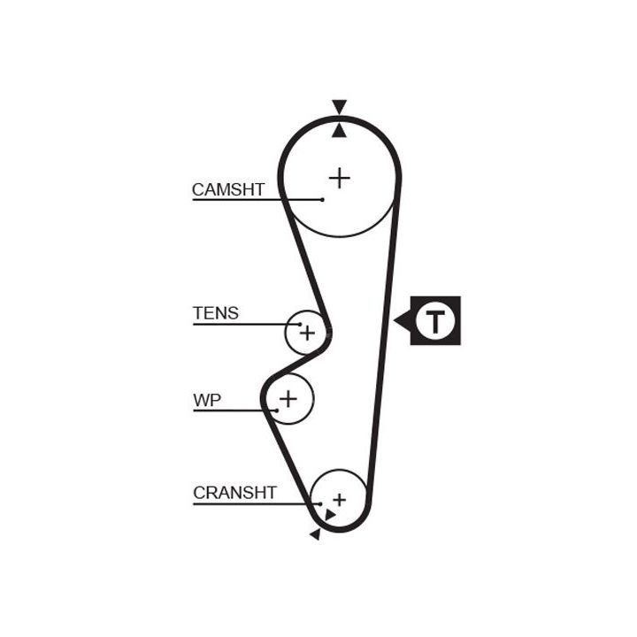 Paskirstymo diržas GATES 5070