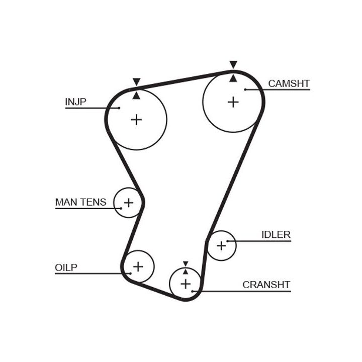 Paskirstymo diržas GATES 5071