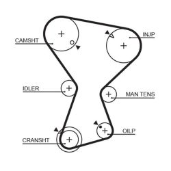 Paskirstymo diržas GATES 5072