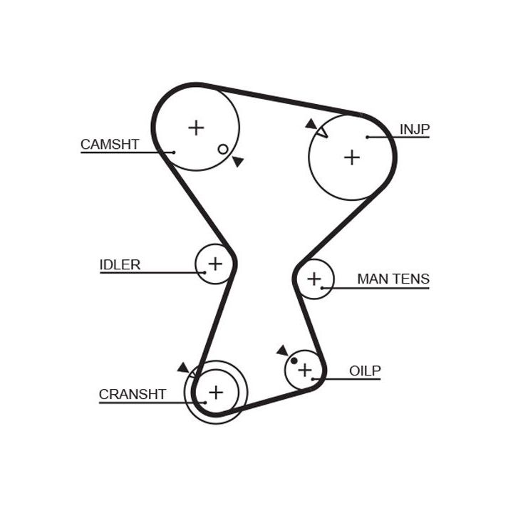 Paskirstymo diržas GATES 5072