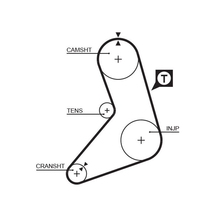 Paskirstymo diržas GATES 5079