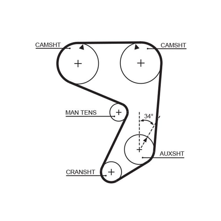 Paskirstymo diržas GATES 5081