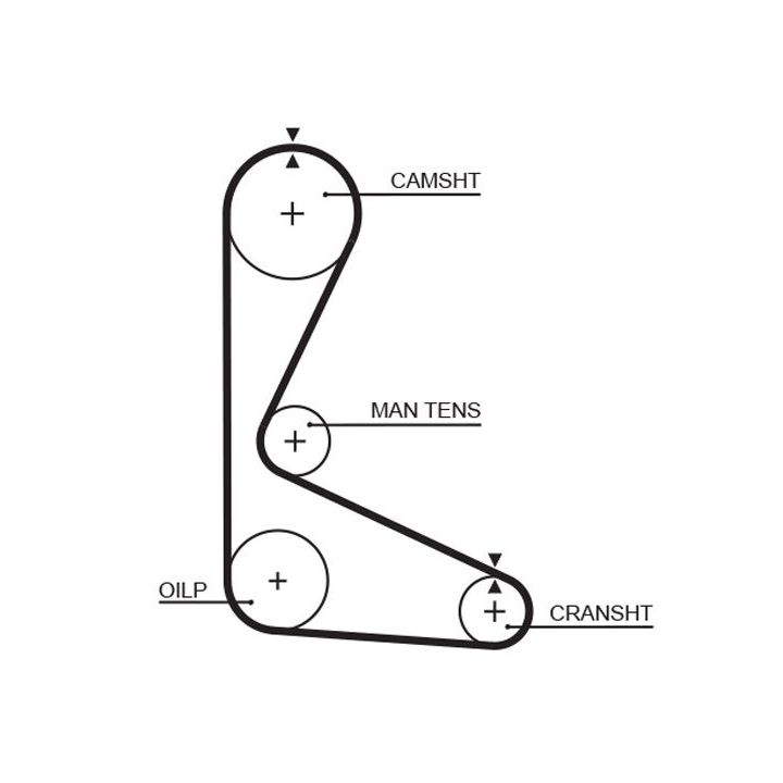 Paskirstymo diržas GATES 5103