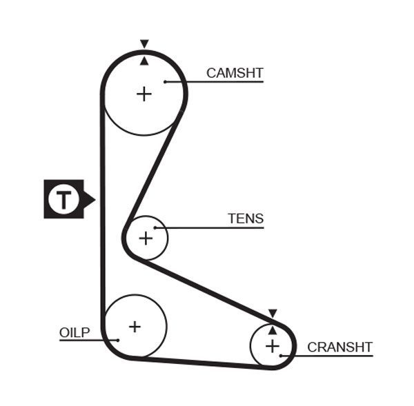 Paskirstymo diržas GATES 5109