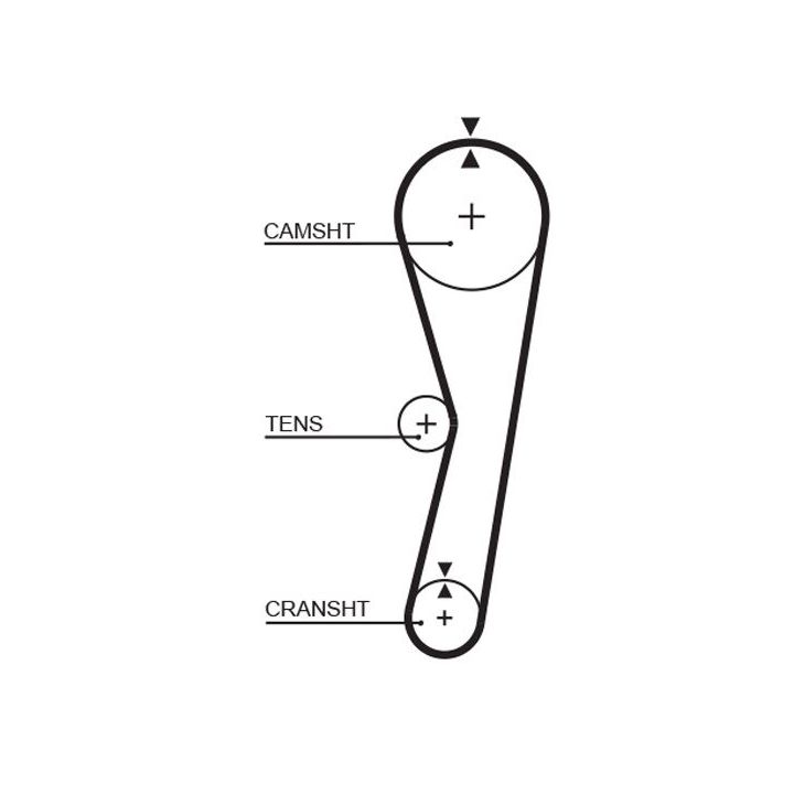 Paskirstymo diržas GATES 5127