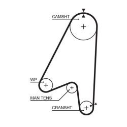 Paskirstymo diržas GATES 5239