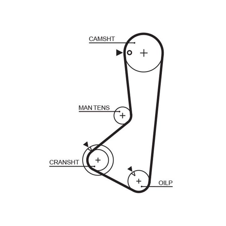 Paskirstymo diržas GATES 5256XS