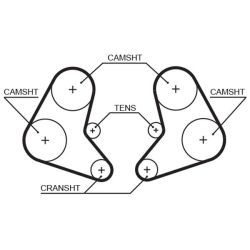 Paskirstymo diržas GATES 5337