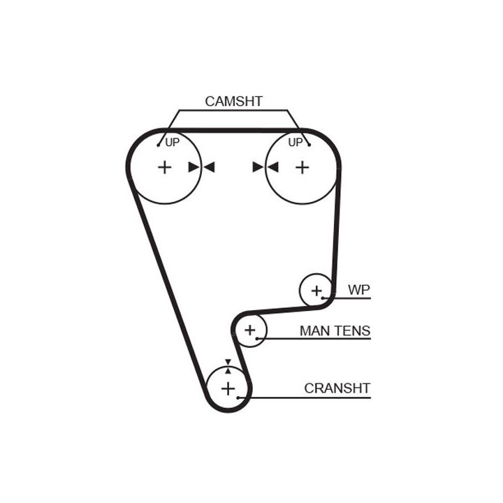 Paskirstymo diržas GATES 5348XS