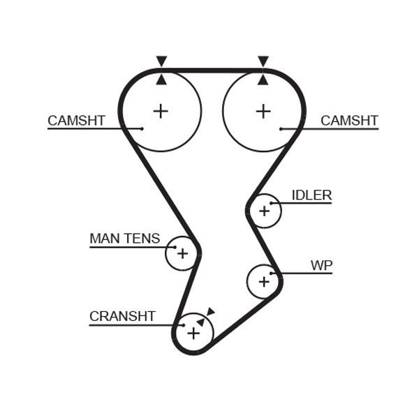 Paskirstymo diržas GATES 5351XS