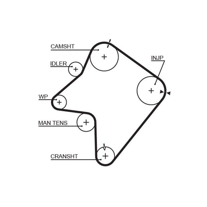 Paskirstymo diržas GATES 5354XS
