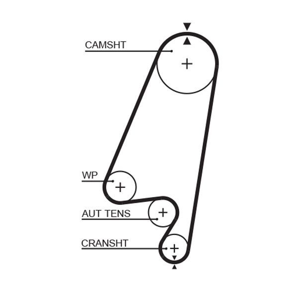 Paskirstymo diržas GATES 5367XS