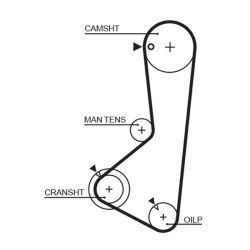 Paskirstymo diržas GATES 5372XS