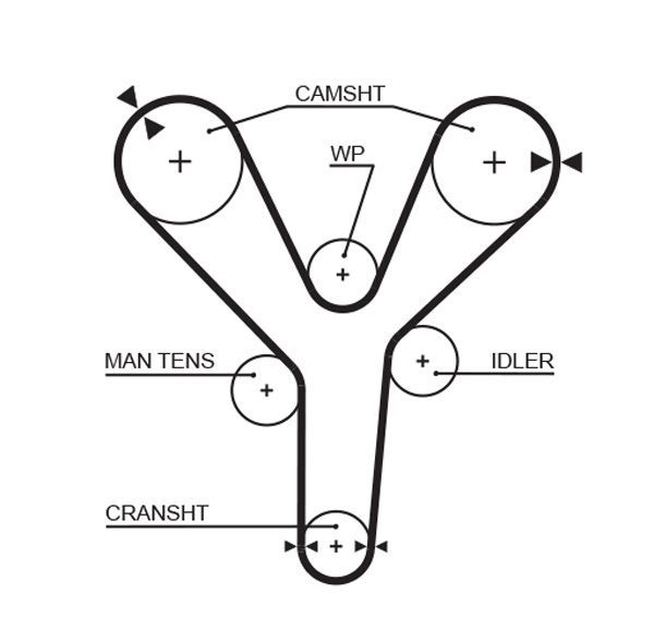 Paskirstymo diržas GATES 5377XS