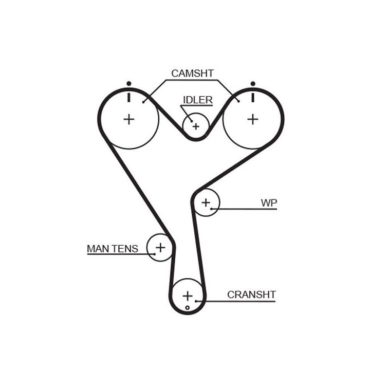 Paskirstymo diržas GATES 5402XS