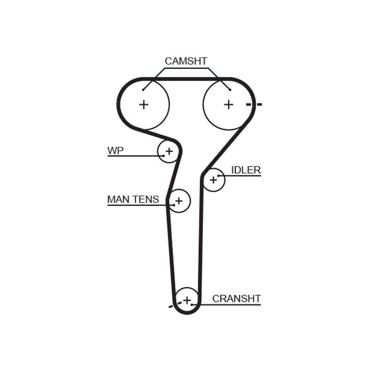 Paskirstymo diržas GATES 5423XS
