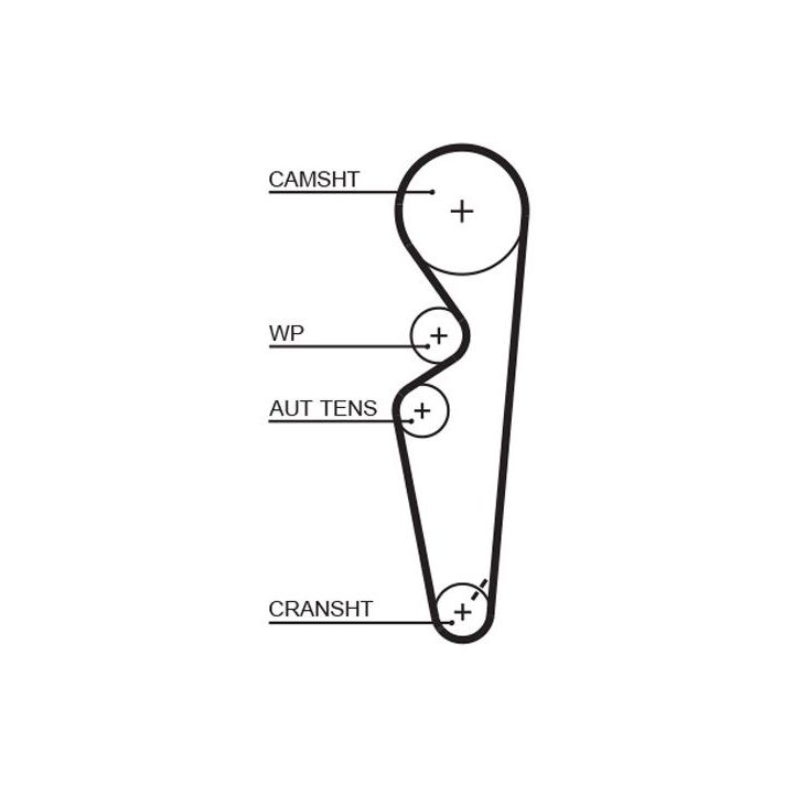 Paskirstymo diržas GATES 5431XS