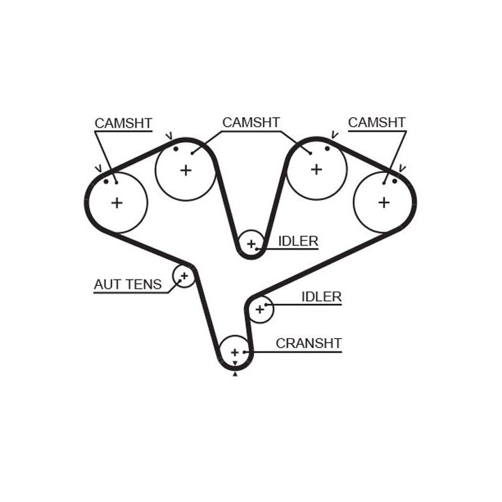Paskirstymo diržas GATES 5453XS