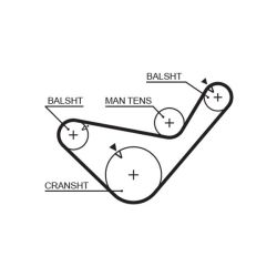 Paskirstymo diržas GATES 5456XS