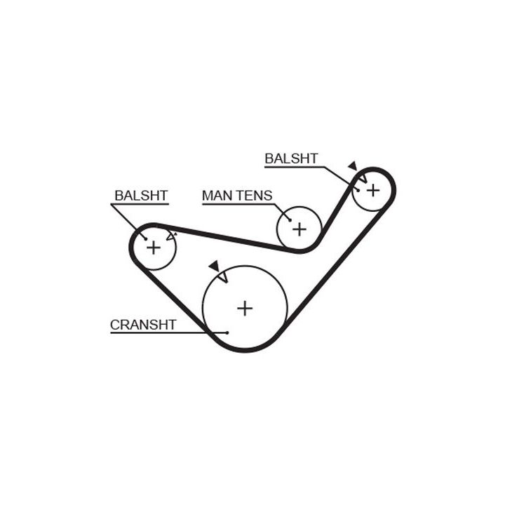 Paskirstymo diržas GATES 5456XS