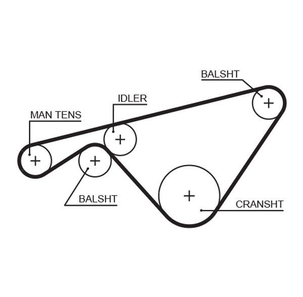 Paskirstymo diržas GATES 5463XS